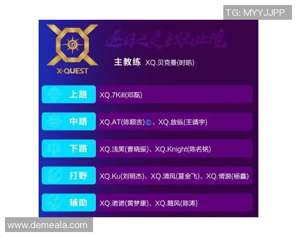 王者荣耀战术解析：深入探讨LNG战队的区域防守策略与执行