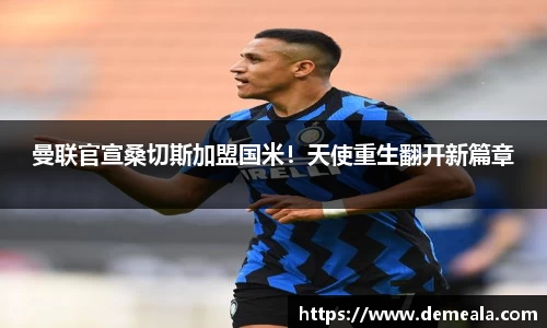 333体育官网登录