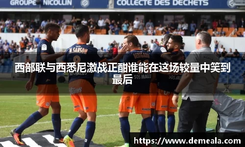 333体育官网登录