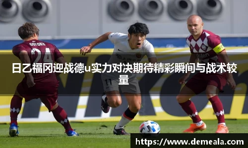 333体育官网登录