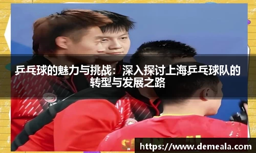 乒乓球的魅力与挑战：深入探讨上海乒乓球队的转型与发展之路
