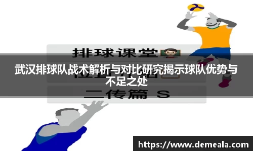 武汉排球队战术解析与对比研究揭示球队优势与不足之处