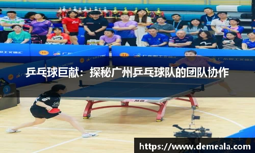 乒乓球巨献：探秘广州乒乓球队的团队协作