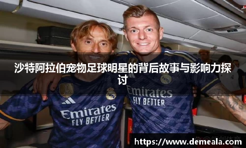 沙特阿拉伯宠物足球明星的背后故事与影响力探讨